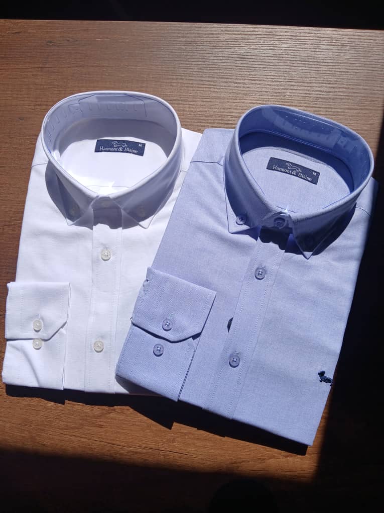 Chemise HARMONT & BLAINE-Manche longue
